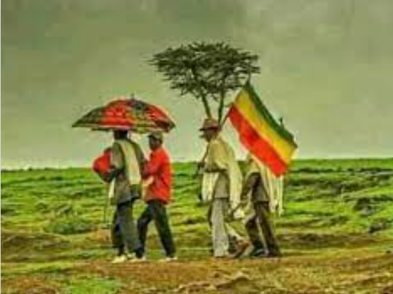 Ethhiopiawinet